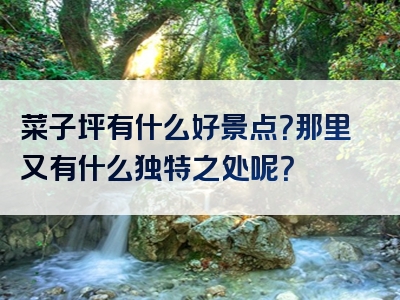 菜子坪有什么好景点？那里又有什么独特之处呢？