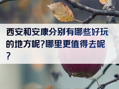 西安和安康分别有哪些好玩的地方呢？哪里更值得去呢？