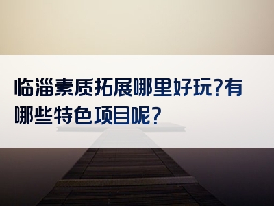 临淄素质拓展哪里好玩？有哪些特色项目呢？
