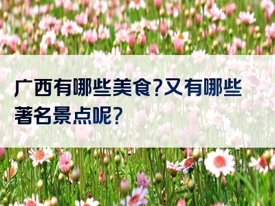 广西有哪些美食？又有哪些著名景点呢？
