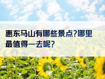 惠东马山有哪些景点？哪里最值得一去呢？