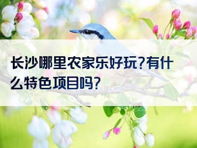 长沙哪里农家乐好玩？有什么特色项目吗？
