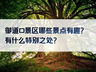 御道口景区哪些景点有趣？有什么特别之处？