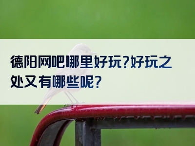 德阳网吧哪里好玩？好玩之处又有哪些呢？