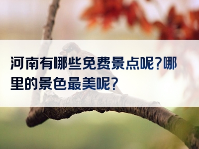 河南有哪些免费景点呢？哪里的景色最美呢？