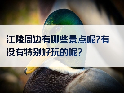 江陵周边有哪些景点呢？有没有特别好玩的呢？