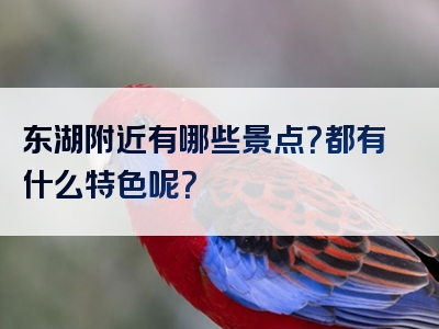 东湖附近有哪些景点？都有什么特色呢？