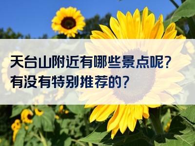 天台山附近有哪些景点呢？有没有特别推荐的？