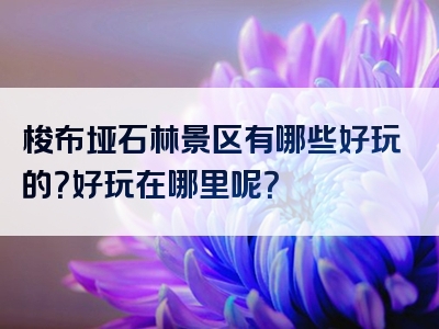 梭布垭石林景区有哪些好玩的？好玩在哪里呢？