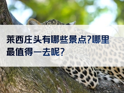 莱西庄头有哪些景点？哪里最值得一去呢？