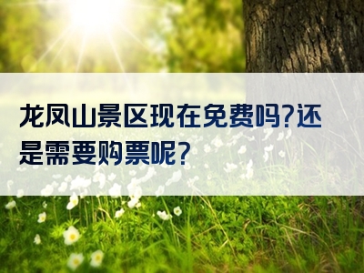 龙凤山景区现在免费吗？还是需要购票呢？