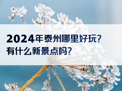 2024年泰州哪里好玩？有什么新景点吗？