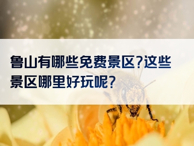 鲁山有哪些免费景区？这些景区哪里好玩呢？
