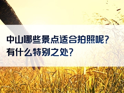 中山哪些景点适合拍照呢？有什么特别之处？