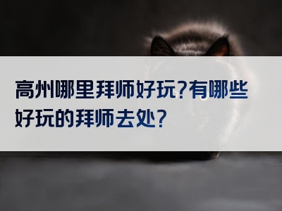 高州哪里拜师好玩？有哪些好玩的拜师去处？