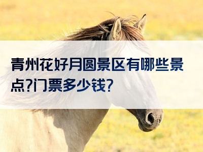 青州花好月圆景区有哪些景点？门票多少钱？