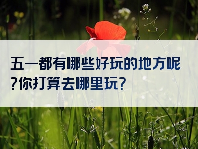 五一都有哪些好玩的地方呢？你打算去哪里玩？