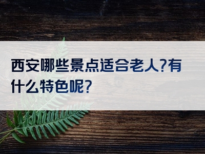 西安哪些景点适合老人？有什么特色呢？