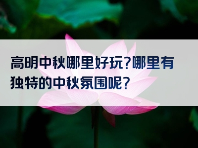 高明中秋哪里好玩？哪里有独特的中秋氛围呢？