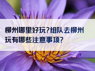 柳州哪里好玩？组队去柳州玩有哪些注意事项？