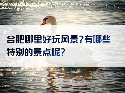 合肥哪里好玩风景？有哪些特别的景点呢？