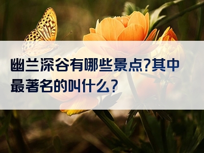 幽兰深谷有哪些景点？其中最著名的叫什么？