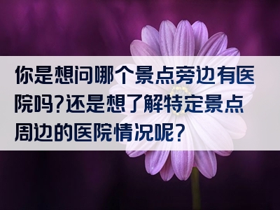你是想问哪个景点旁边有医院吗？还是想了解特定景点周边的医院情况呢？