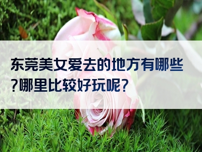 东莞美女爱去的地方有哪些？哪里比较好玩呢？