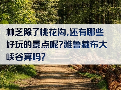 林芝除了桃花沟，还有哪些好玩的景点呢？雅鲁藏布大峡谷算吗？