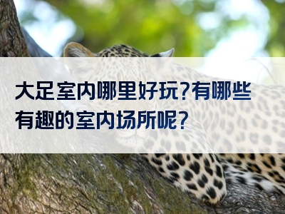大足室内哪里好玩？有哪些有趣的室内场所呢？