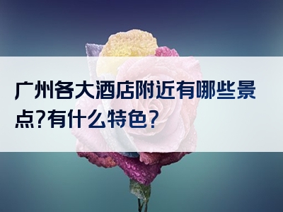 广州各大酒店附近有哪些景点？有什么特色？