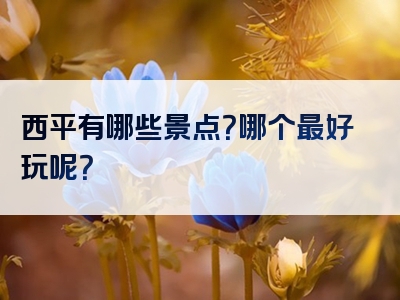 西平有哪些景点？哪个最好玩呢？