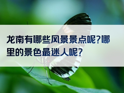 龙南有哪些风景景点呢？哪里的景色最迷人呢？