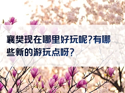 襄樊现在哪里好玩呢？有哪些新的游玩点呀？