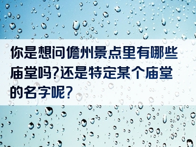 你是想问儋州景点里有哪些庙堂吗？还是特定某个庙堂的名字呢？