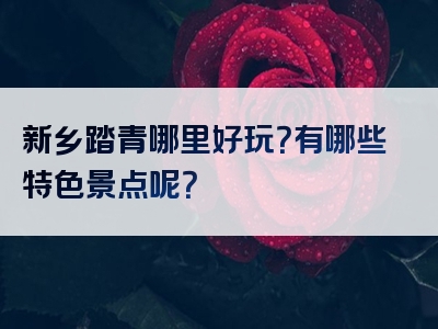 新乡踏青哪里好玩？有哪些特色景点呢？