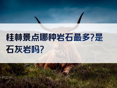 桂林景点哪种岩石最多？是石灰岩吗？