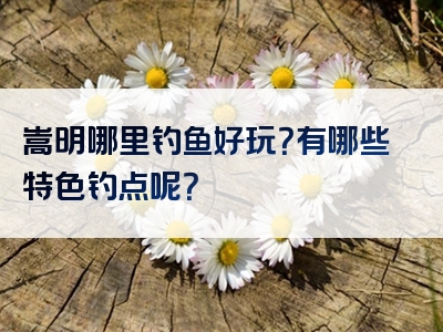 嵩明哪里钓鱼好玩？有哪些特色钓点呢？