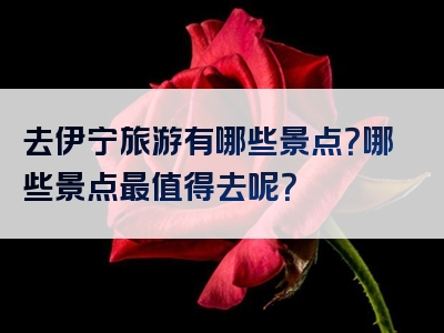 去伊宁旅游有哪些景点？哪些景点最值得去呢？