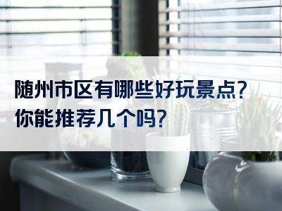 随州市区有哪些好玩景点？你能推荐几个吗？