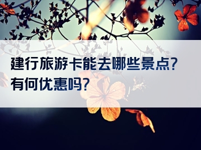 建行旅游卡能去哪些景点？有何优惠吗？