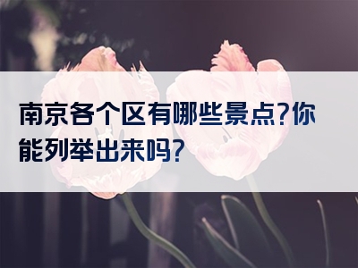 南京各个区有哪些景点？你能列举出来吗？