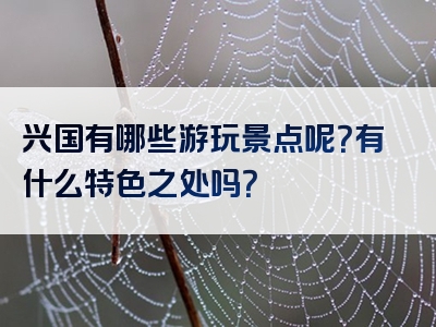 兴国有哪些游玩景点呢？有什么特色之处吗？