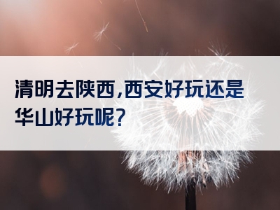 清明去陕西，西安好玩还是华山好玩呢？