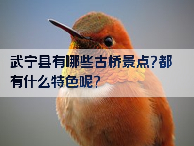 武宁县有哪些古桥景点？都有什么特色呢？