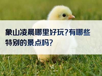 象山凌晨哪里好玩？有哪些特别的景点吗？