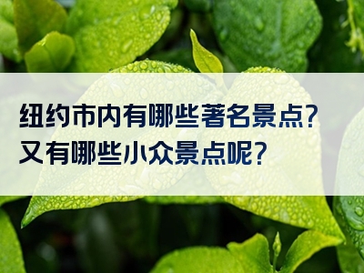 纽约市内有哪些著名景点？又有哪些小众景点呢？
