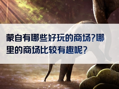 蒙自有哪些好玩的商场？哪里的商场比较有趣呢？