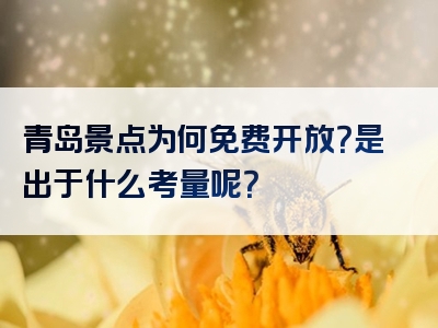 青岛景点为何免费开放？是出于什么考量呢？