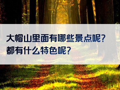 大帽山里面有哪些景点呢？都有什么特色呢？